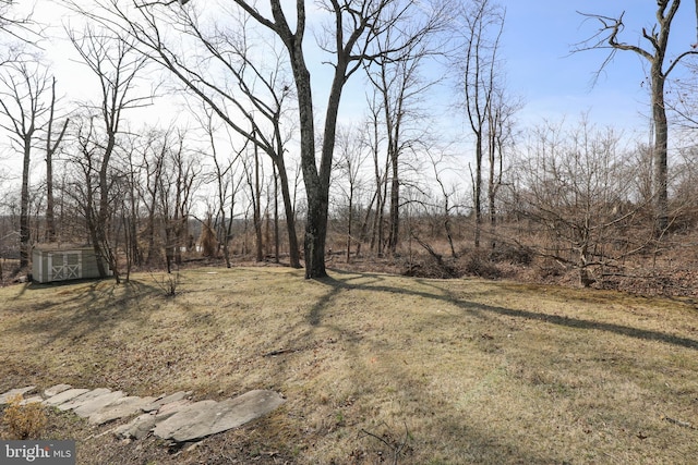 view of yard featuring an outbuilding and a storage unit