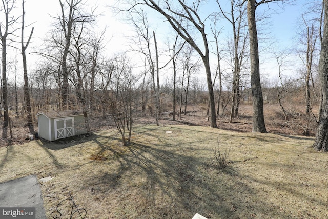 view of yard featuring a storage shed and an outdoor structure