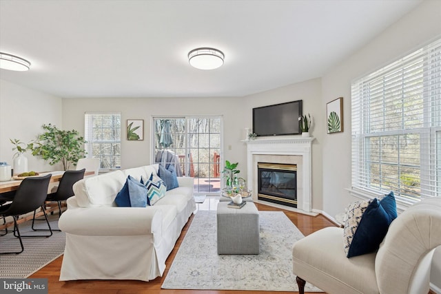 living room featuring wood finished floors and a high end fireplace