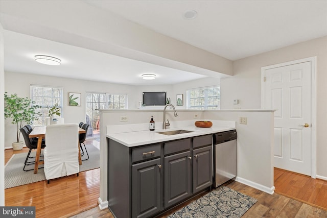 kitchen with light wood-style flooring, plenty of natural light, a sink, light countertops, and stainless steel dishwasher