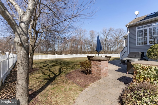 view of yard with a patio area and a fenced backyard