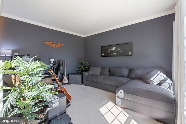 living area with crown molding and carpet