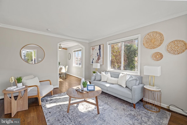 living room with crown molding, wood finished floors, arched walkways, and baseboards