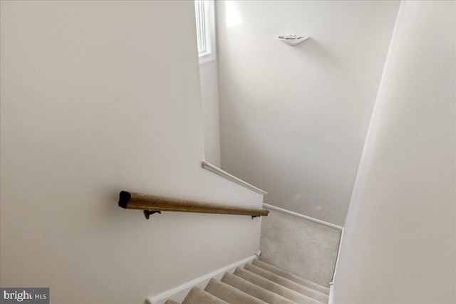 stairs with baseboards and carpet floors