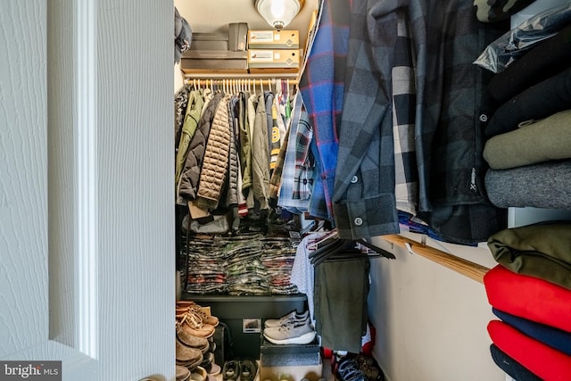 view of spacious closet