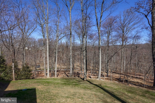 view of yard featuring a wooded view