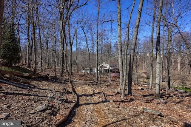 view of yard with a view of trees