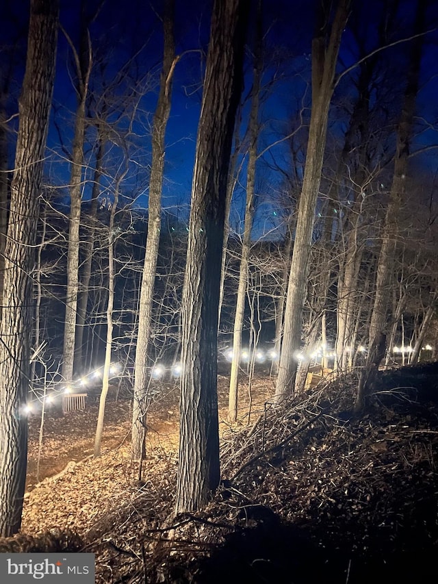 view of nature at twilight