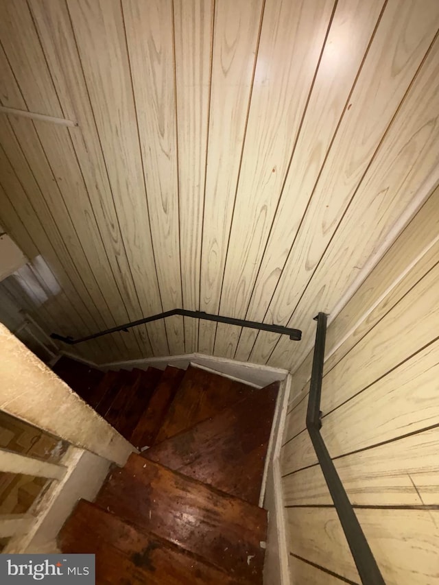 stairs featuring wood walls