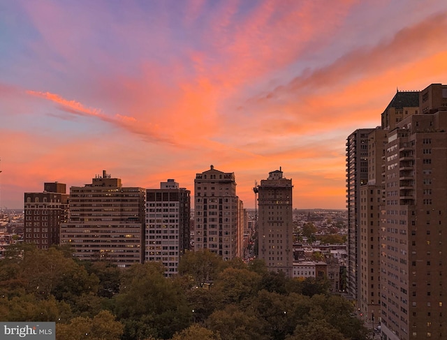 property's view of city