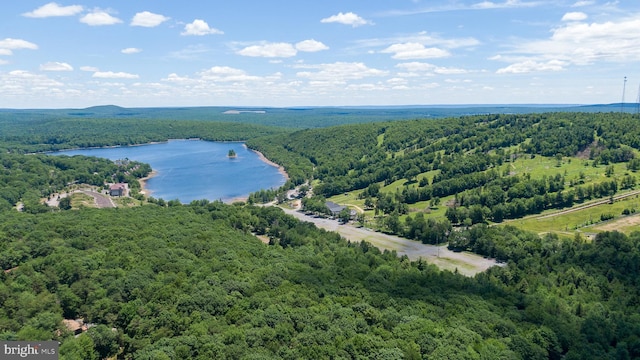 birds eye view of property with a forest view and a water view