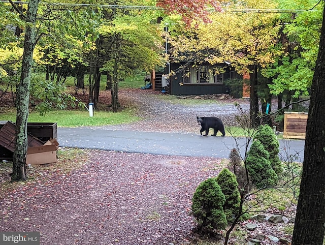 surrounding community with gravel driveway