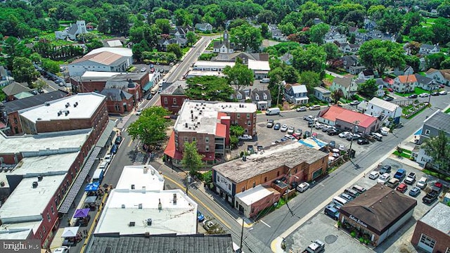 bird's eye view