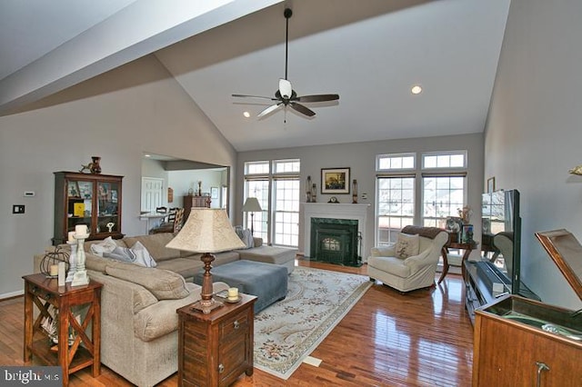 living area featuring high vaulted ceiling, a healthy amount of sunlight, wood finished floors, and a fireplace