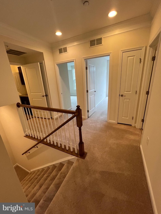 stairway featuring visible vents, carpet, and crown molding