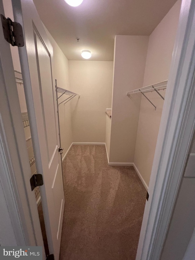 walk in closet with carpet