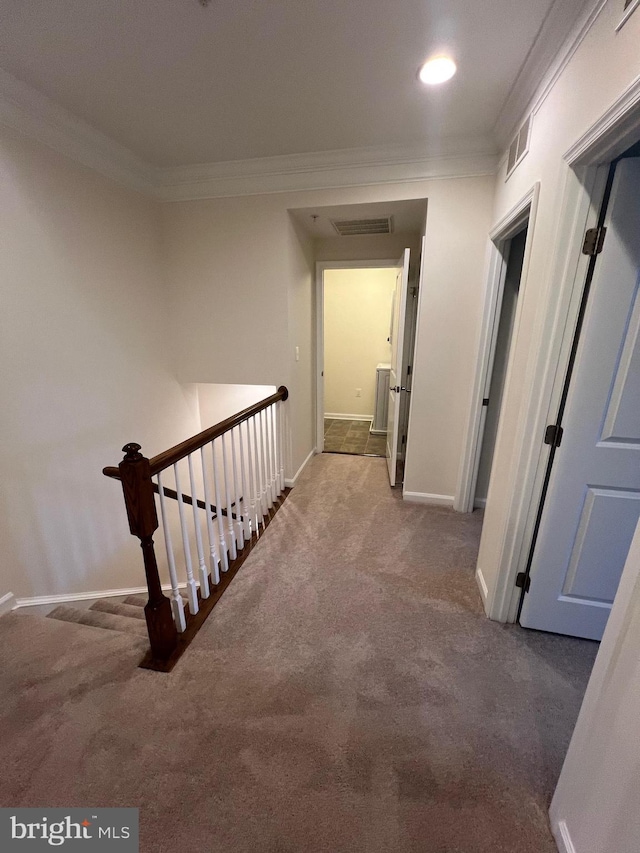 hall with visible vents, baseboards, carpet, and ornamental molding