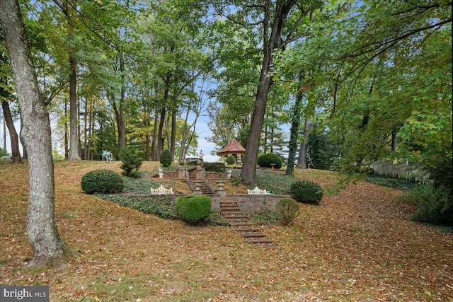 view of yard featuring stairs