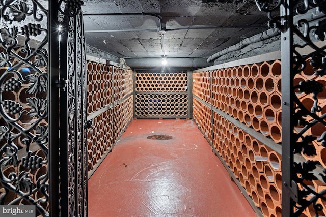 view of wine cellar