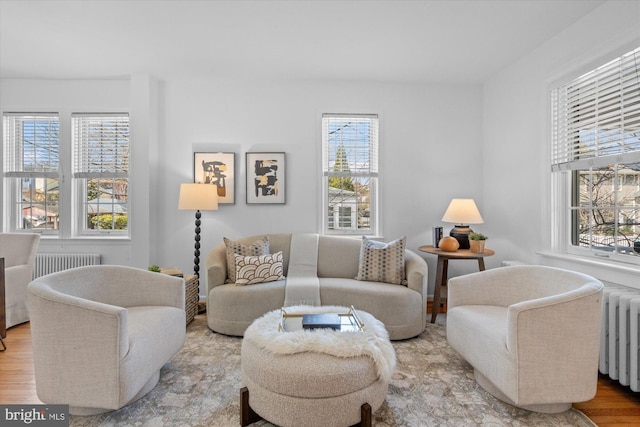 living room featuring plenty of natural light, radiator heating unit, and wood finished floors