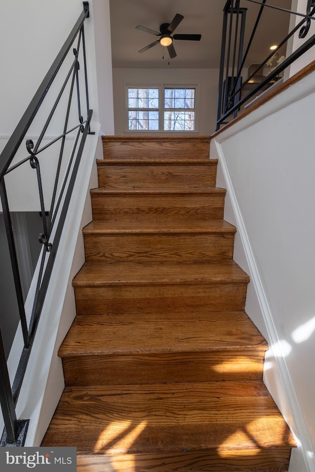 staircase featuring ceiling fan