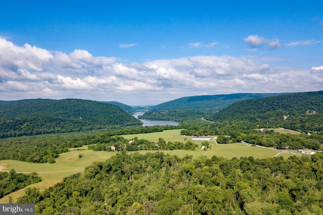 view of mountain feature with a forest view