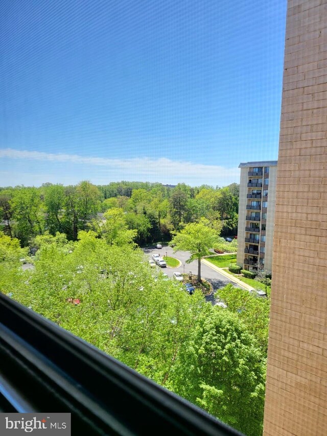 3100 S Manchester St Unit 909, Falls Church, VA 22044 - view of yard