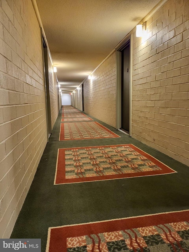 3100 S Manchester St Unit 909, Falls Church, VA 22044 - hall with a textured ceiling and brick wall