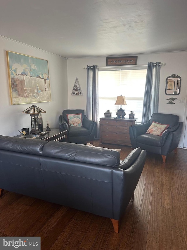 living room with dark wood-style flooring