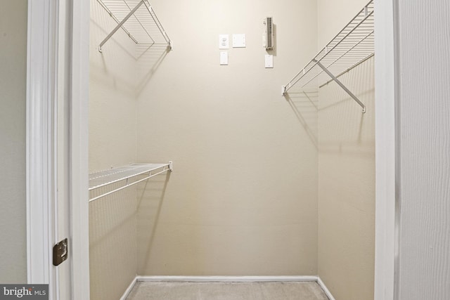 view of walk in closet