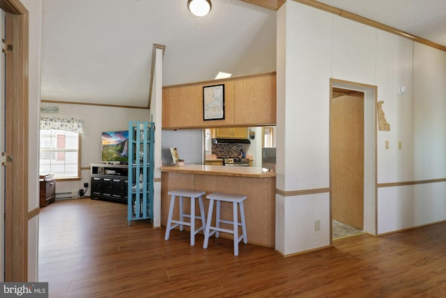 kitchen featuring decorative backsplash, wood finished floors, a baseboard heating unit, and ornamental molding