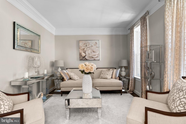 living area with crown molding and baseboards