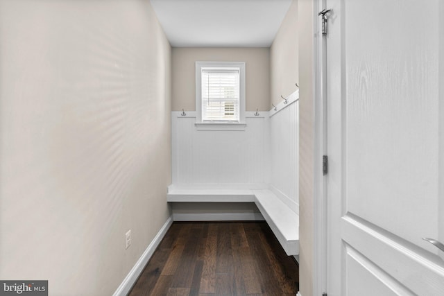 spacious closet featuring dark wood finished floors