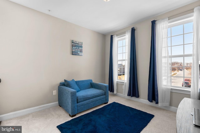 living area featuring baseboards and carpet floors