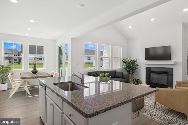 kitchen with open floor plan, stainless steel dishwasher, wood finished floors, and a sink