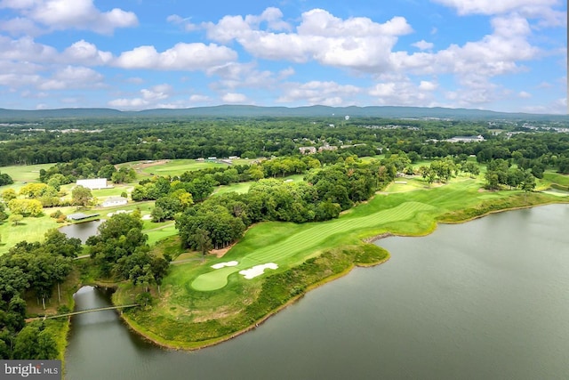 bird's eye view with a wooded view and a water view