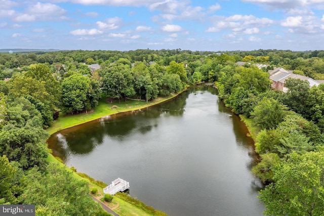 birds eye view of property with a view of trees and a water view