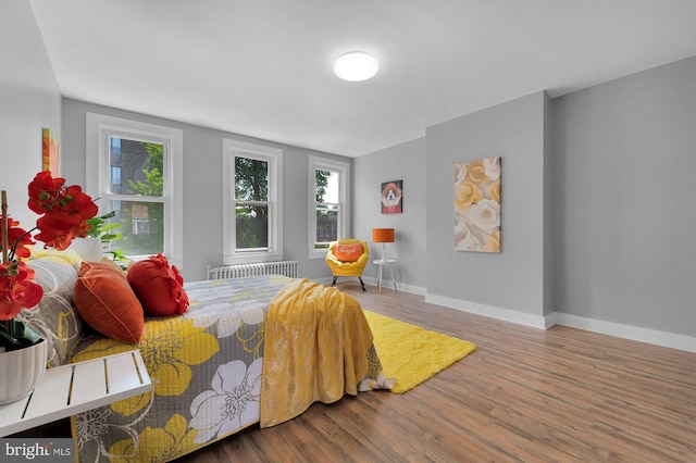 bedroom featuring multiple windows, radiator, wood finished floors, and baseboards