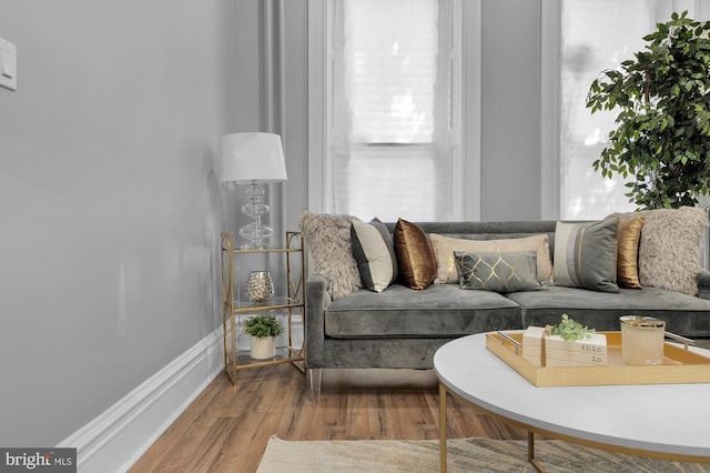 living room with wood finished floors and baseboards