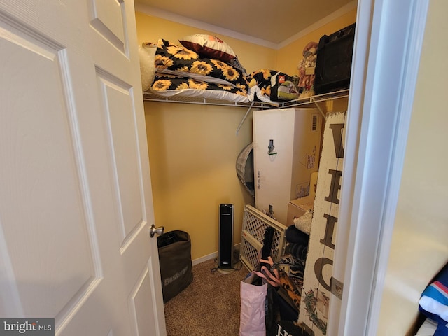 spacious closet with carpet floors