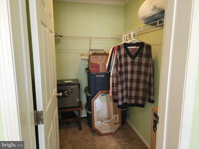 walk in closet with carpet