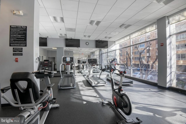 gym with a paneled ceiling and floor to ceiling windows