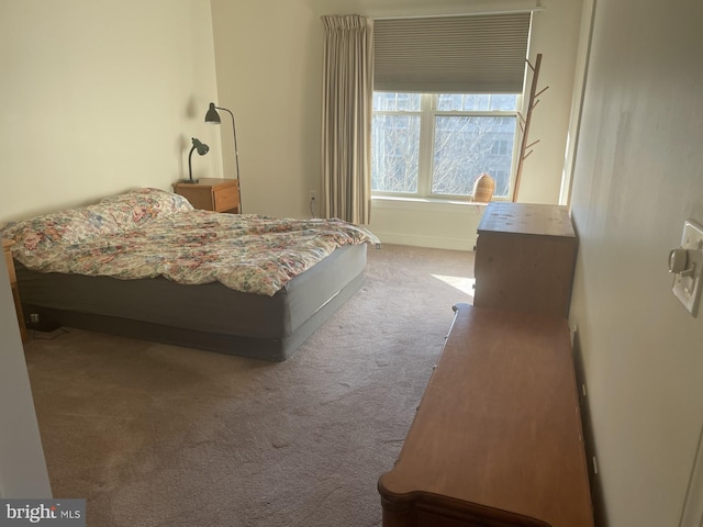 bedroom with carpet flooring