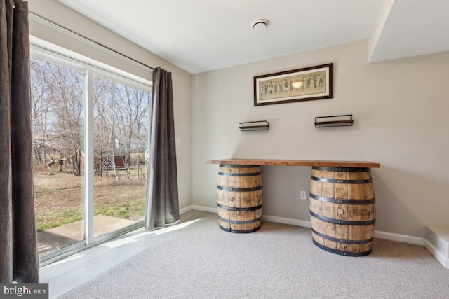 interior details with baseboards and carpet flooring