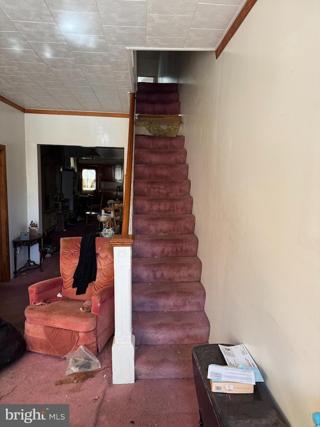 stairway featuring crown molding and carpet floors