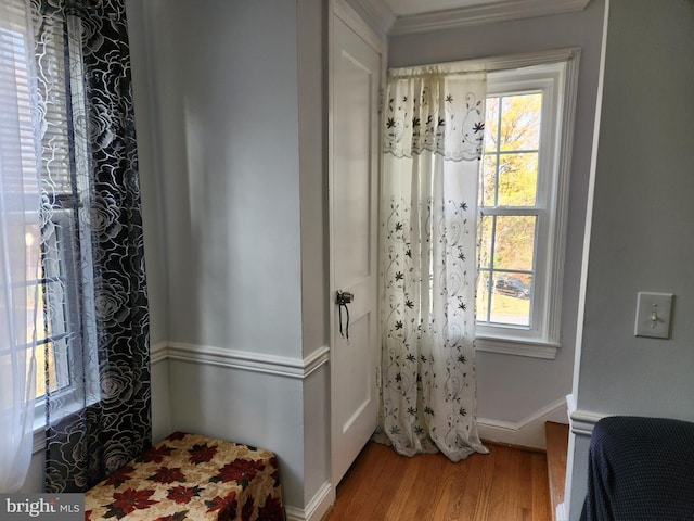 interior space featuring baseboards, a healthy amount of sunlight, and wood finished floors