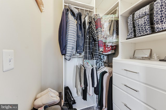 view of spacious closet