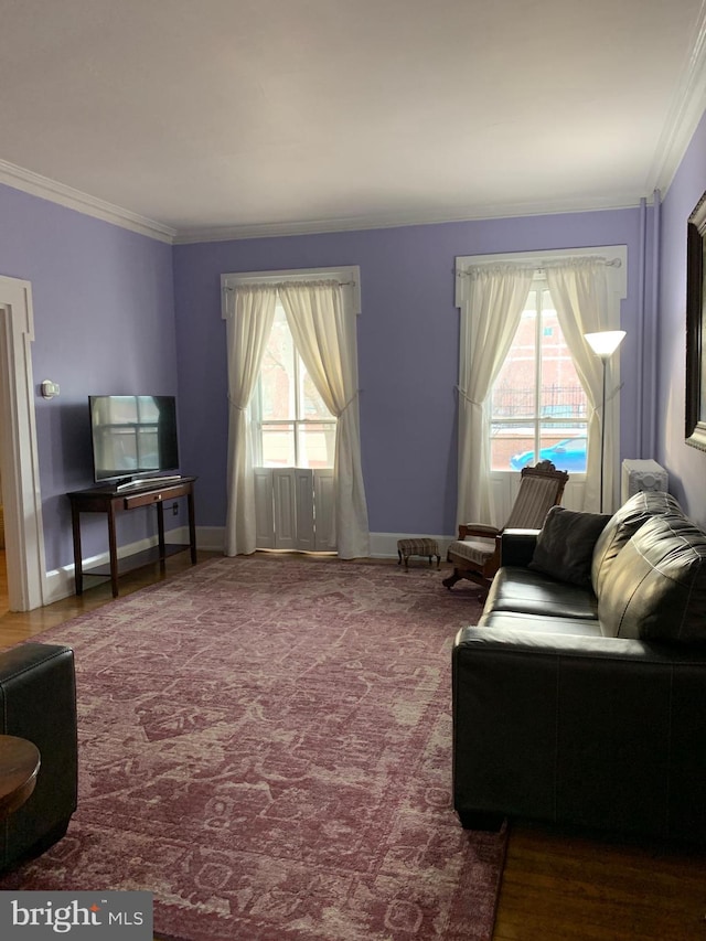 carpeted living area featuring baseboards and crown molding