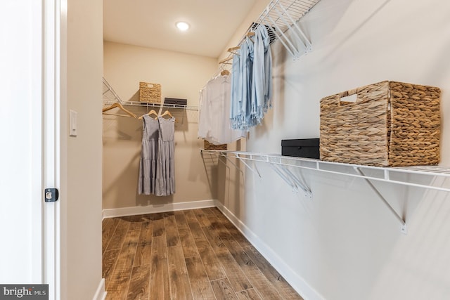 walk in closet with dark wood-style flooring