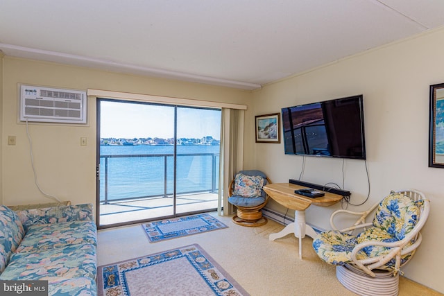 living area featuring carpet and a wall unit AC